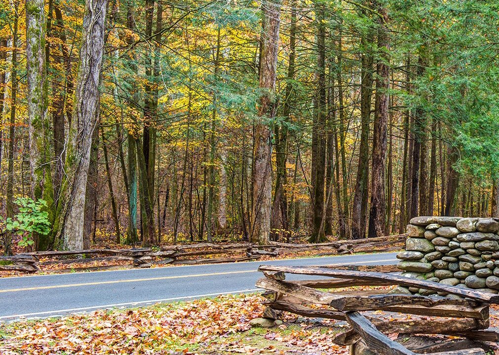 Photo of Others in Black Bear Falls