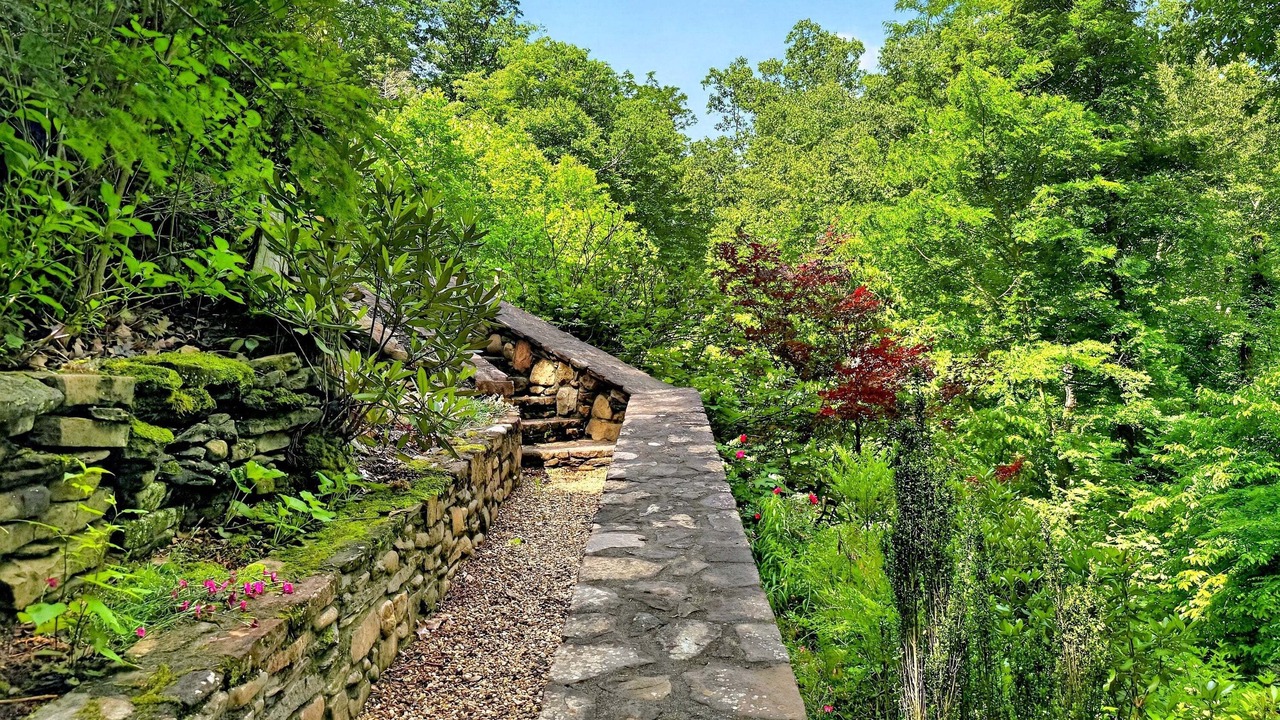 Photo of Outdoor in Black Mountain
