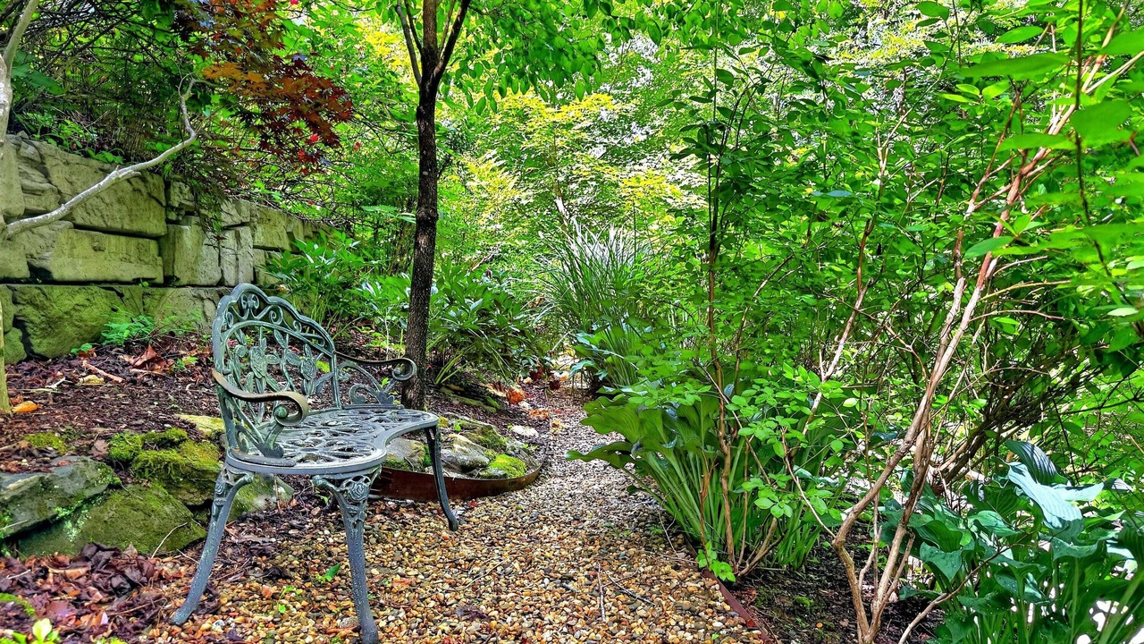 Photo of Outdoor in Black Mountain