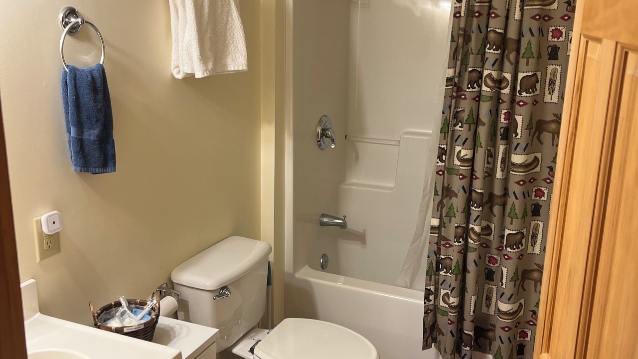 Photo of Bathroom in Zionville