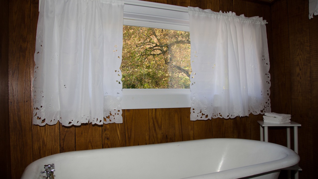 Photo of Bathroom in Moatsville