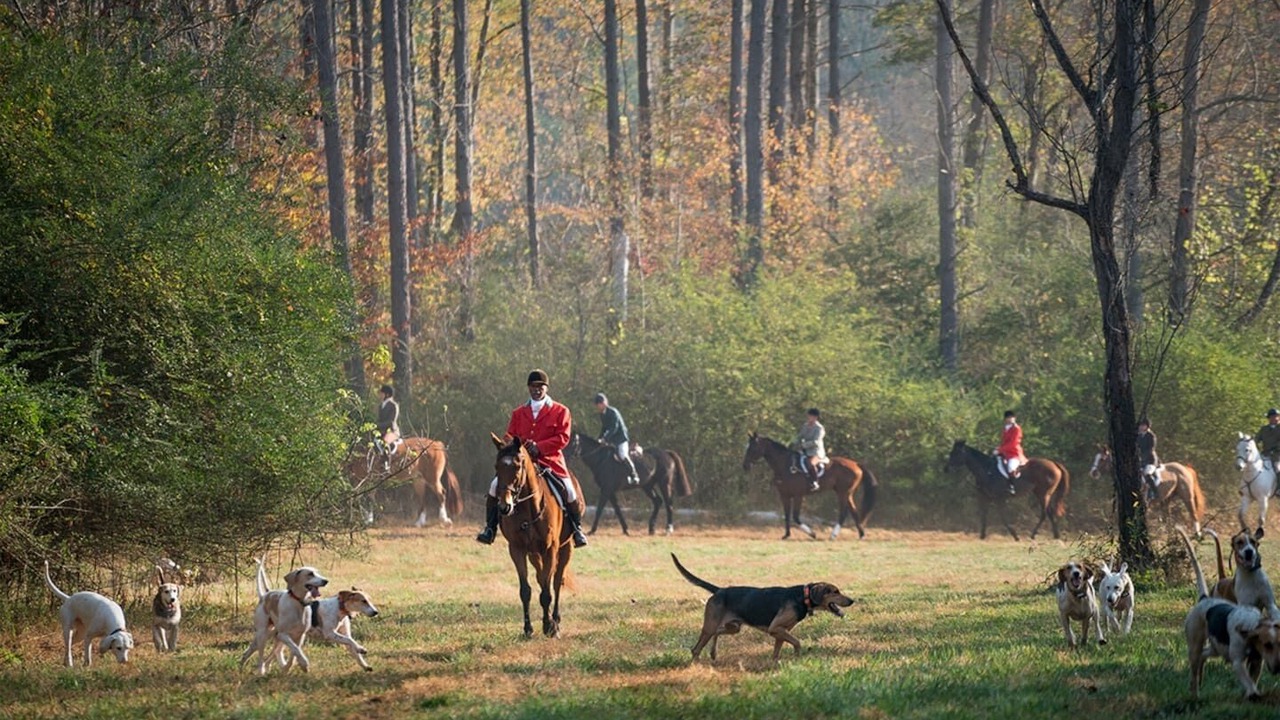 Photo of Outdoor in Tryon
