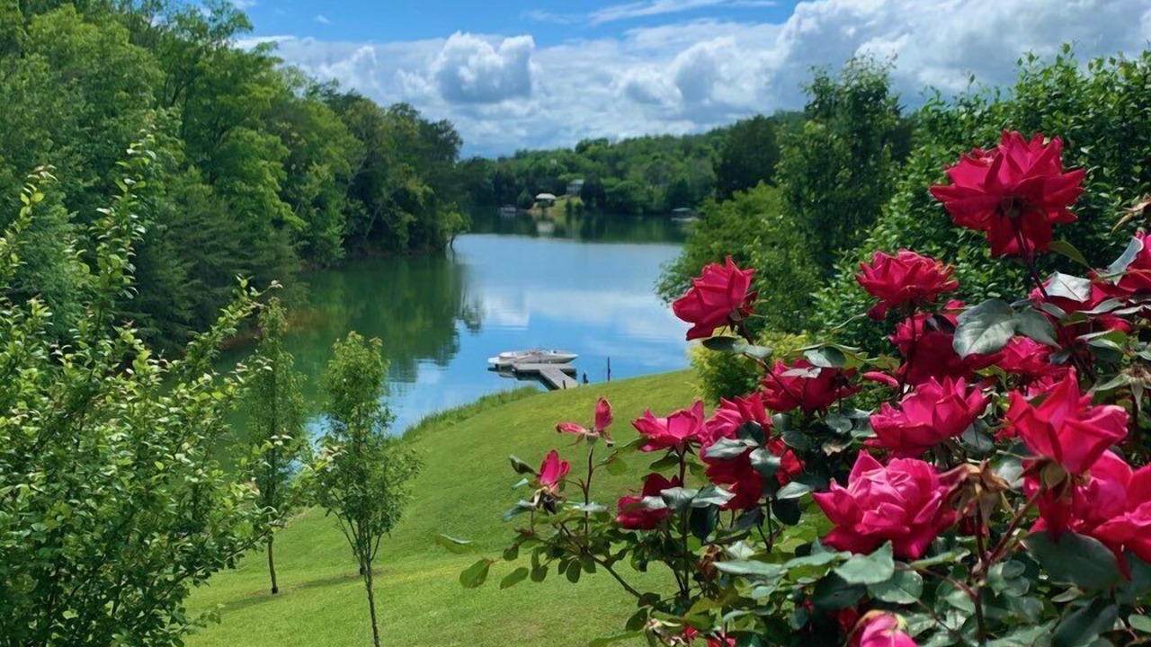 Photo of Outdoor in Dandridge