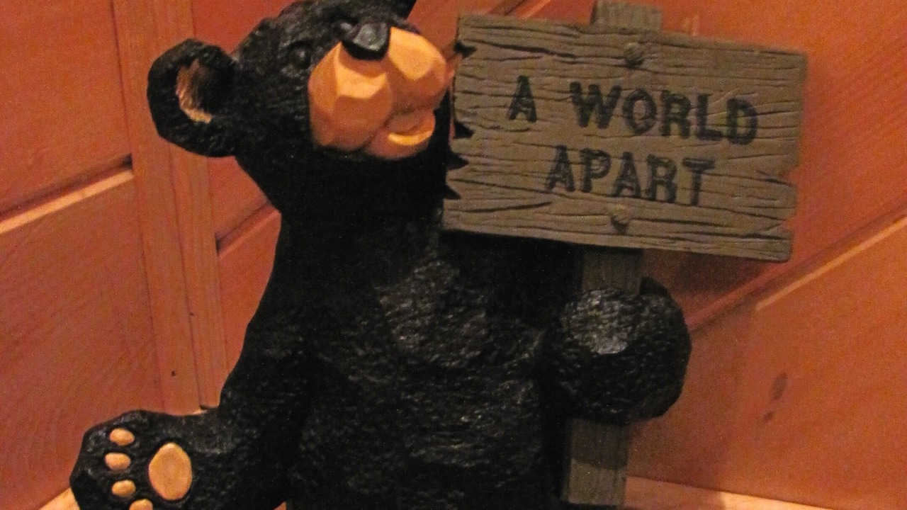 Photo of Others in Maggie Valley