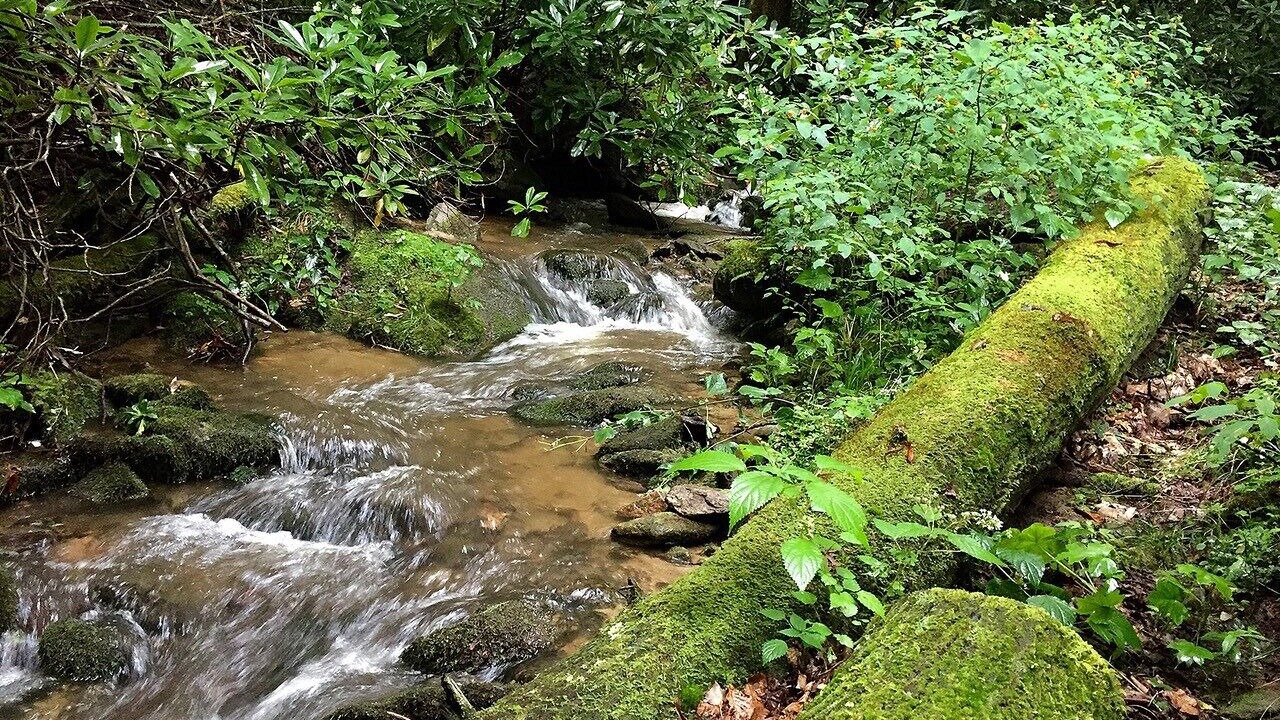 Photo of Outdoor in Maggie Valley
