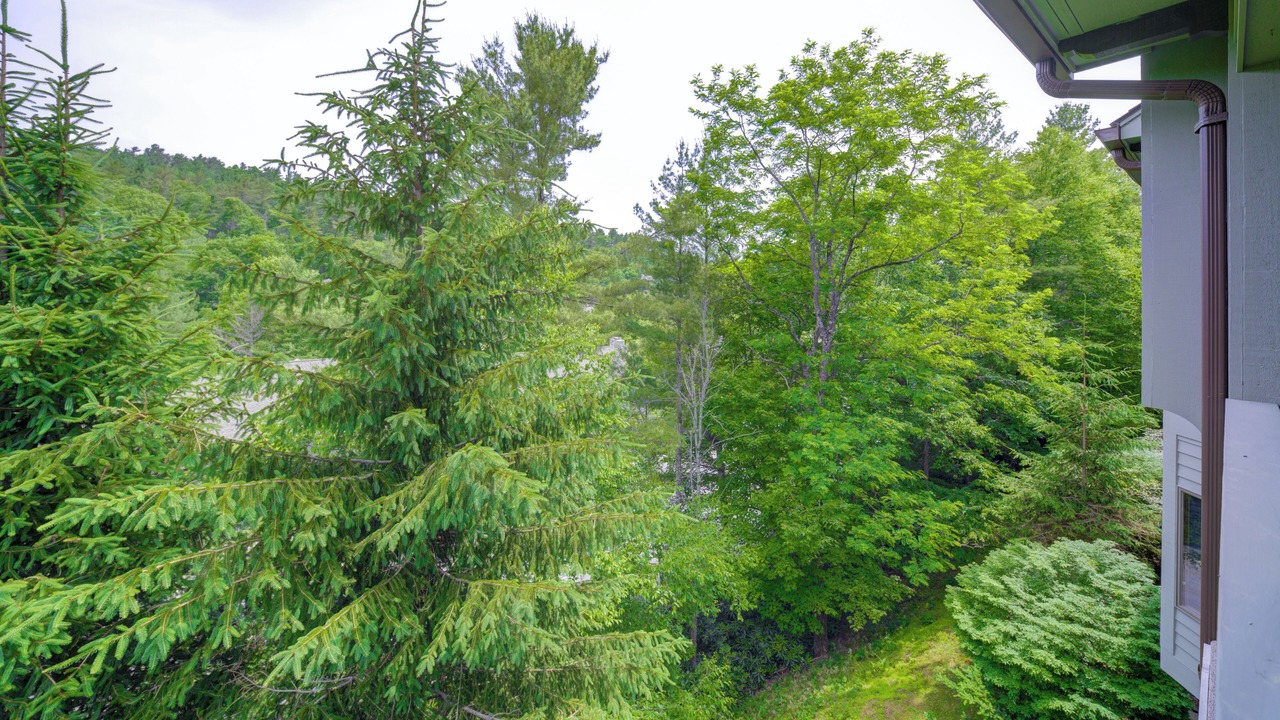 Photo of Others in Blowing Rock