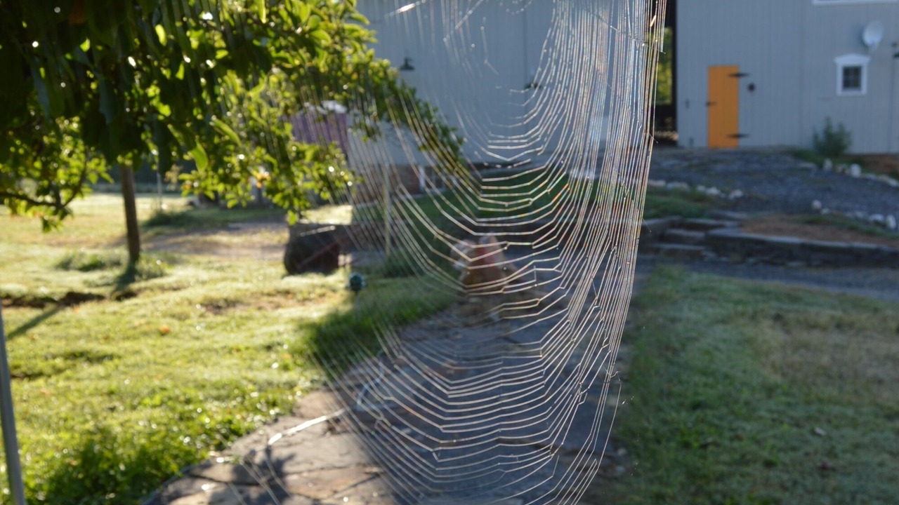 Photo of Outdoor in Boring
