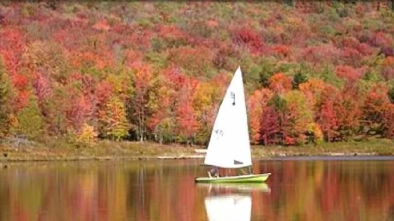 Photo of Others in Timberline