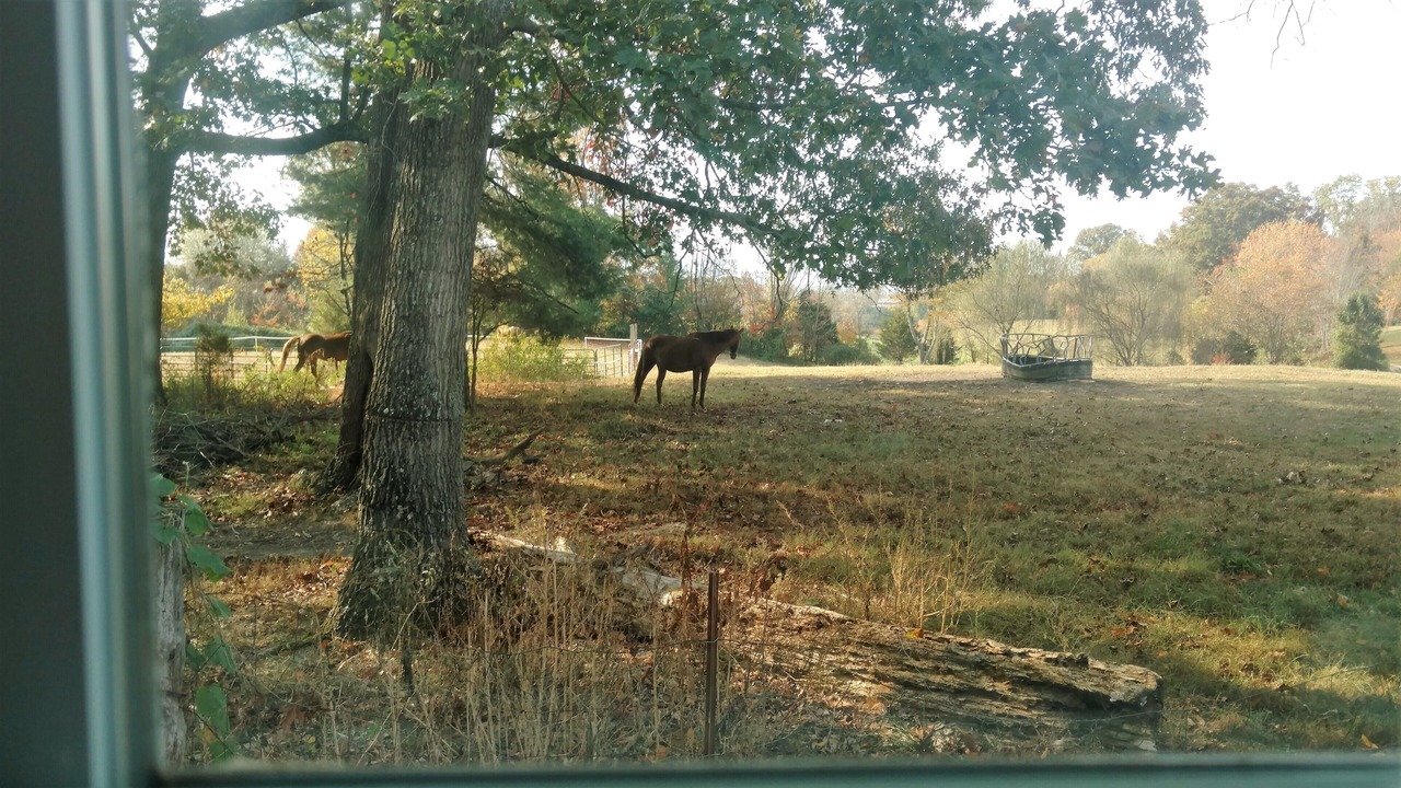 Photo of Others in Jonesborough