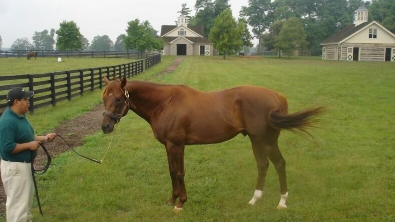 Photo of Others in Lexington