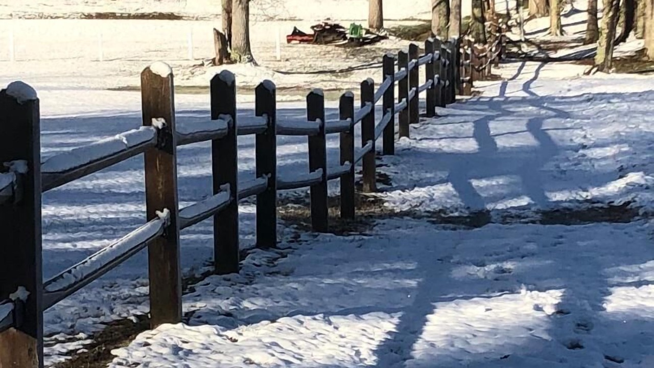 Photo of Others in Roan Mountain