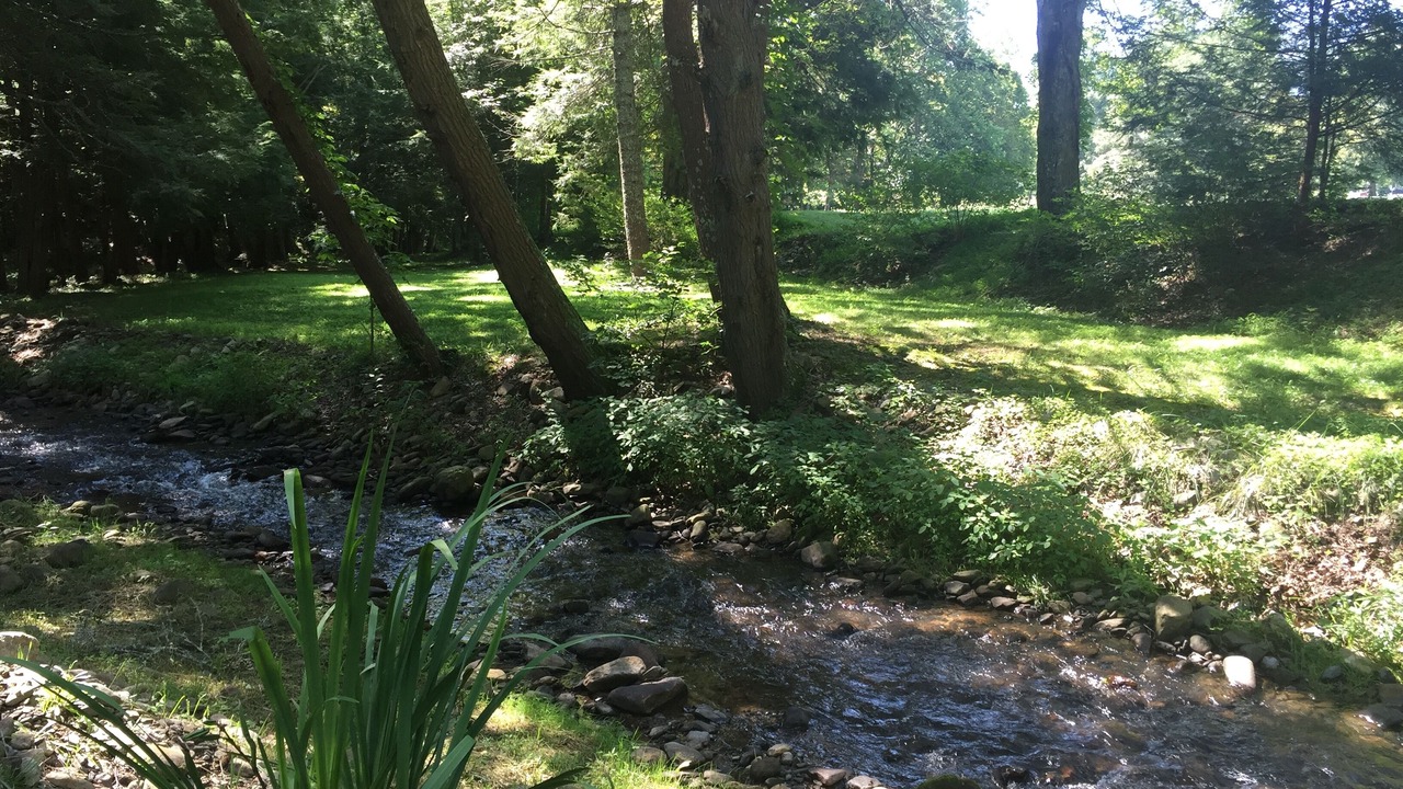 Photo of Others in Roan Mountain