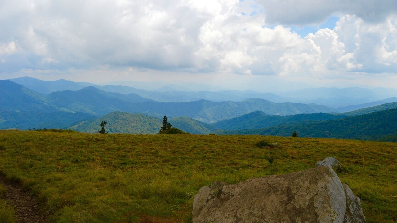 Photo of Others in Roan Mountain