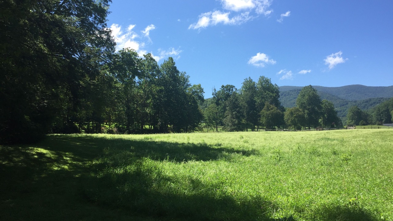 Photo of Others in Roan Mountain