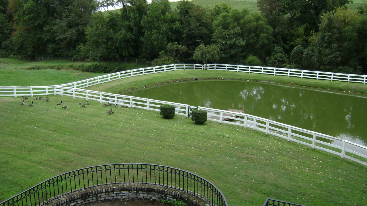 Photo of Patio Balcony in Frederick