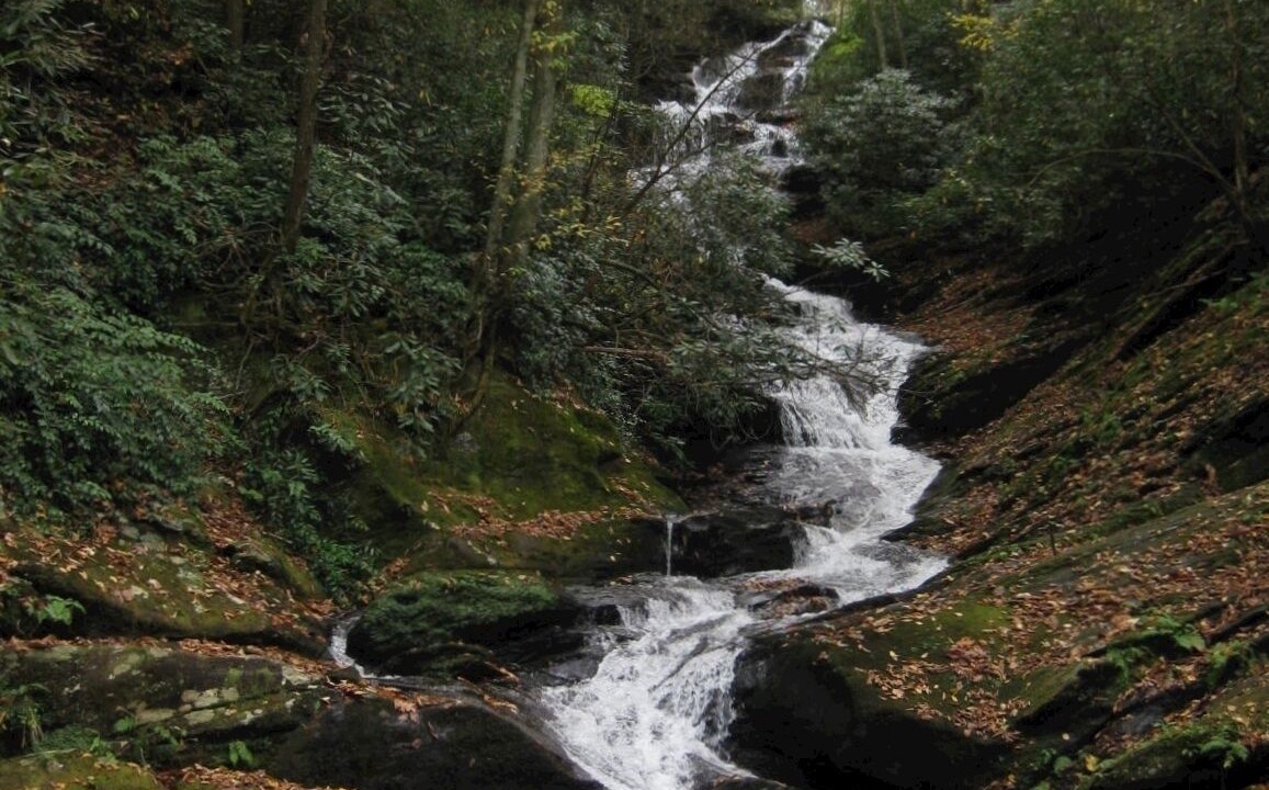 Photo of Others in Burnsville