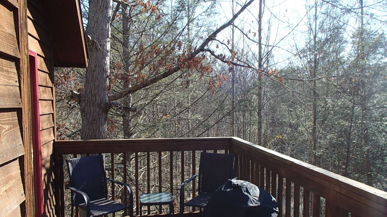 Photo of Others in Sevierville