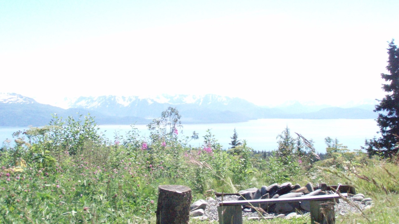Photo of Others in Fritz Creek