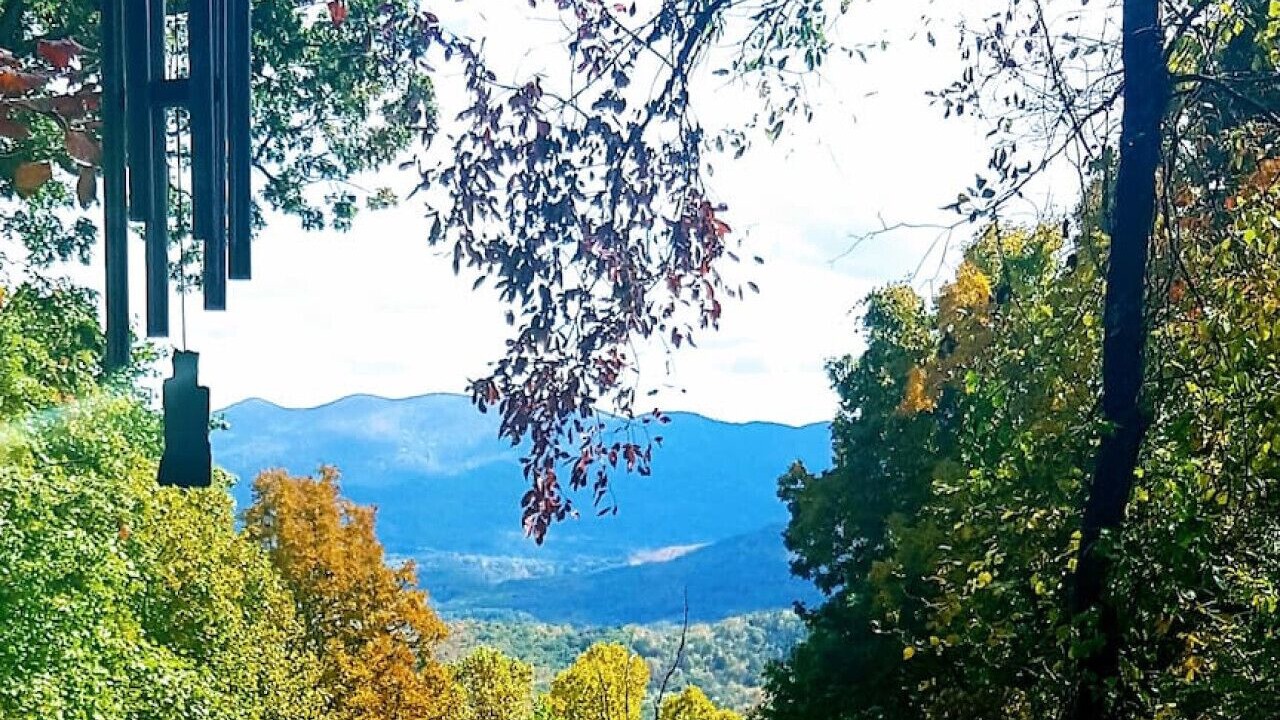 Photo of Others in Asheville