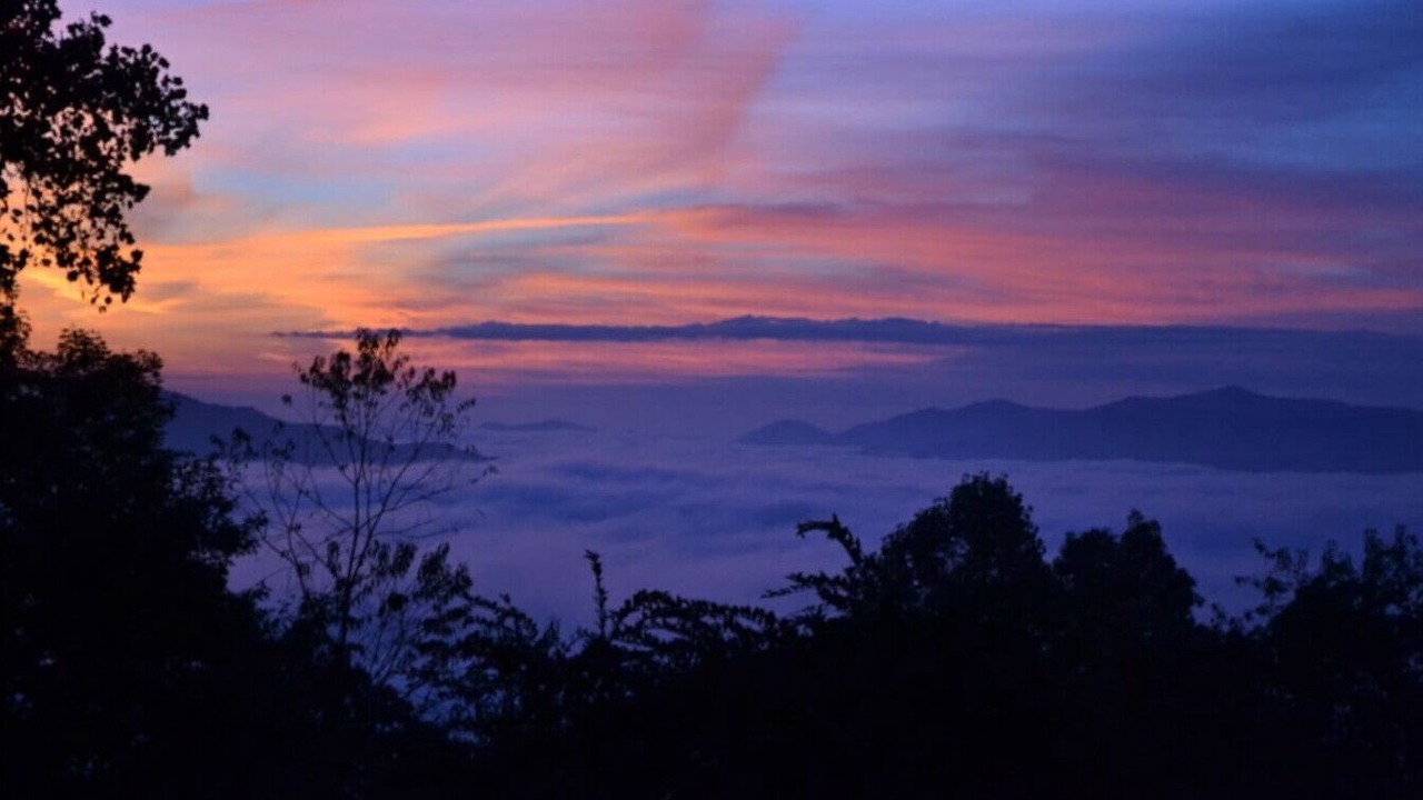 Photo of Others in Asheville