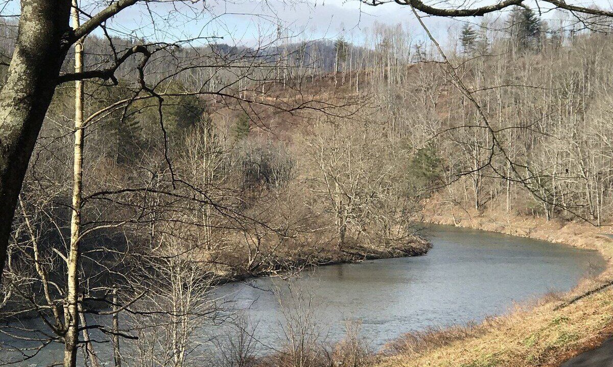Photo of Others in Peak Creek