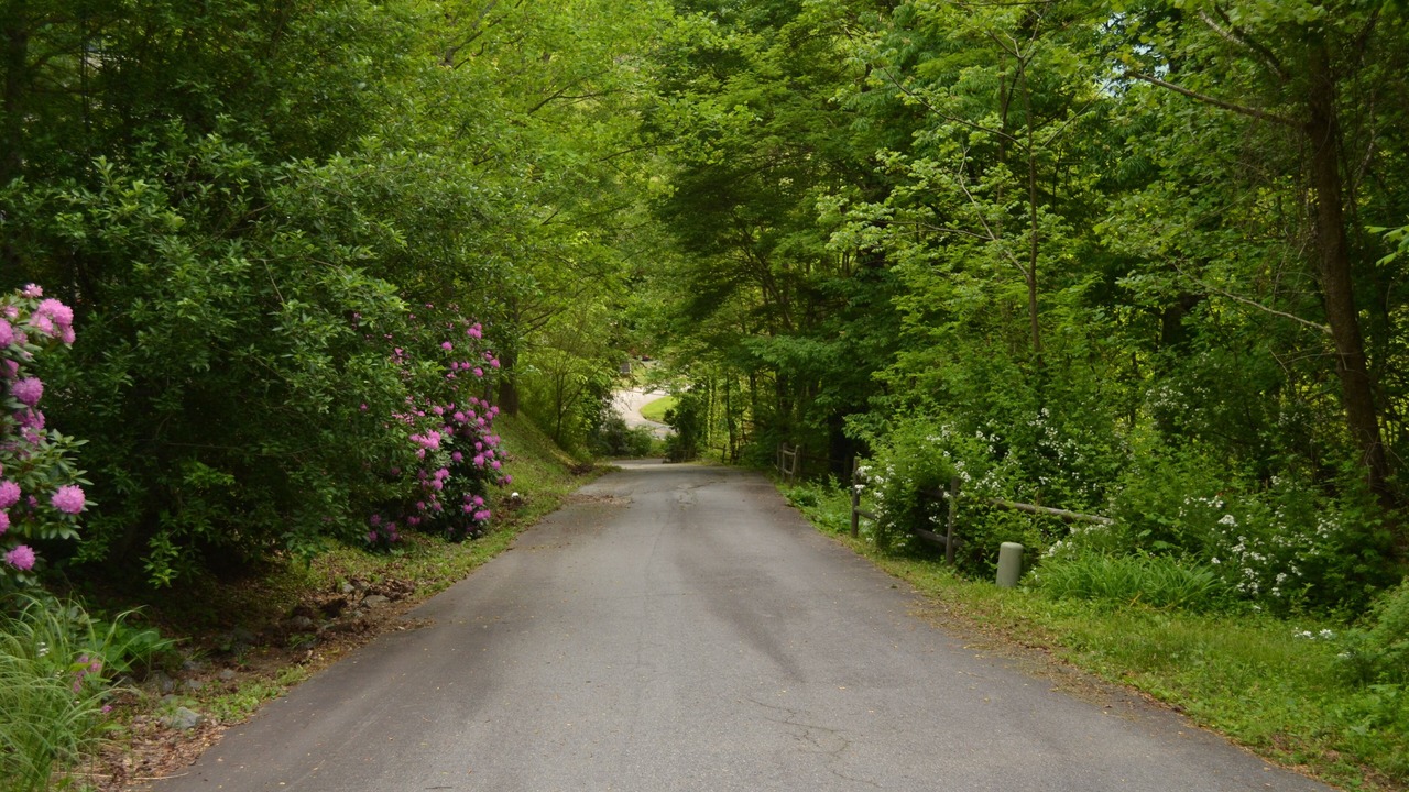 Photo of Others in Waynesville
