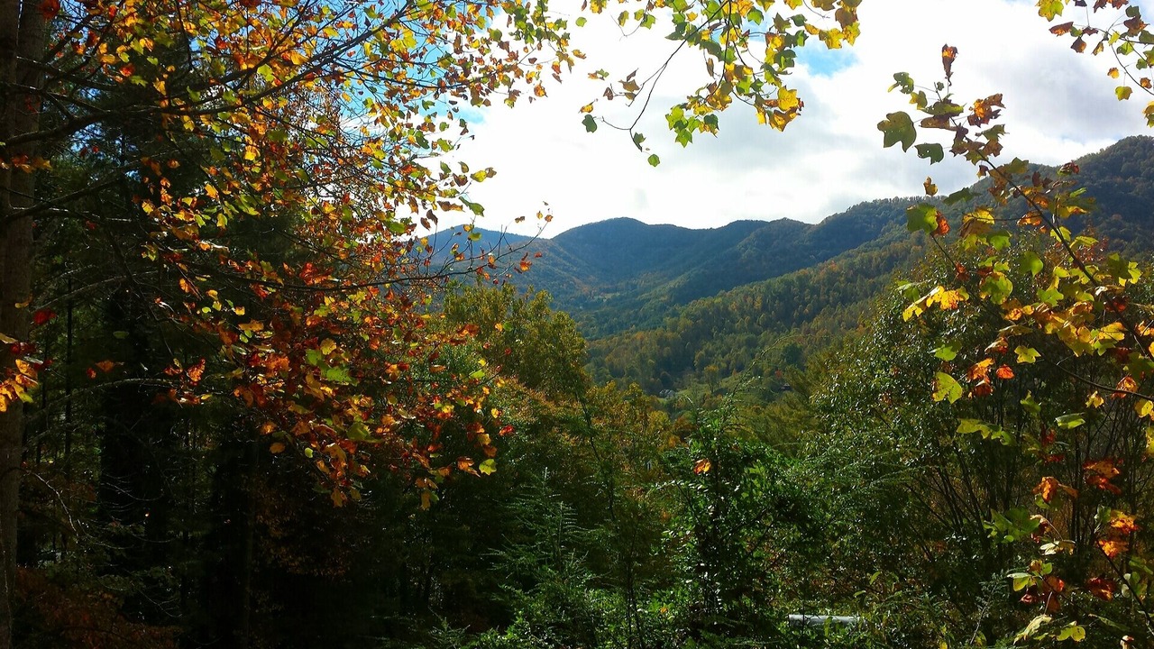 Photo of Outdoor in Waynesville