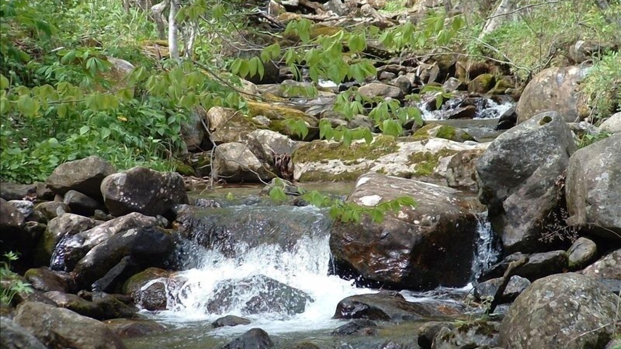 Photo of Others in Bakersville