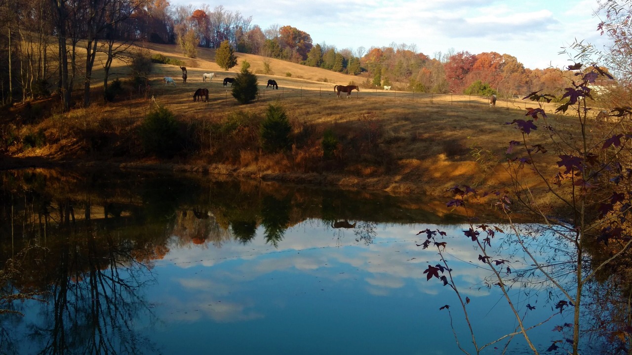 Photo of Others in Jonesborough