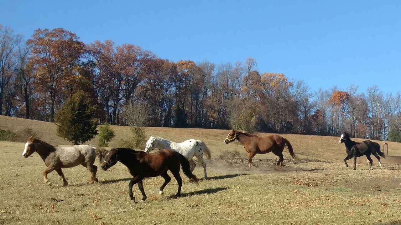 Photo of Others in Jonesborough