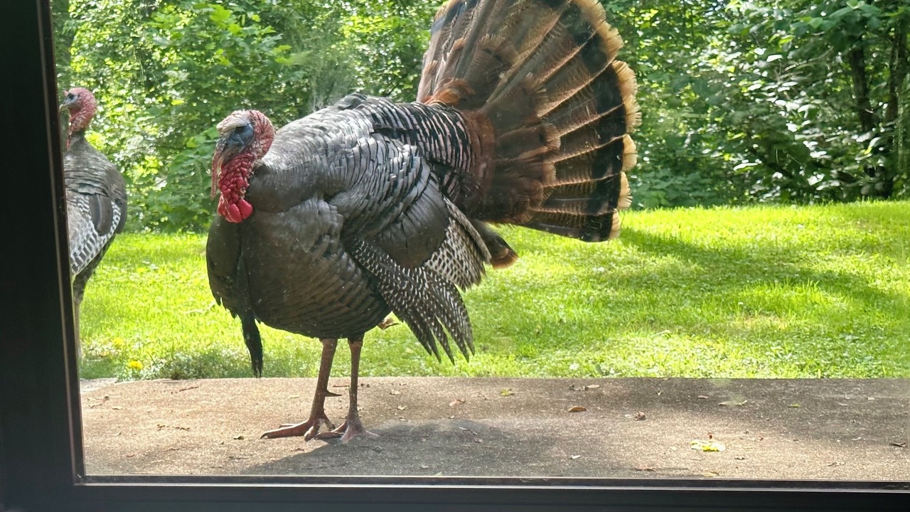 Photo of Others in Jonesborough