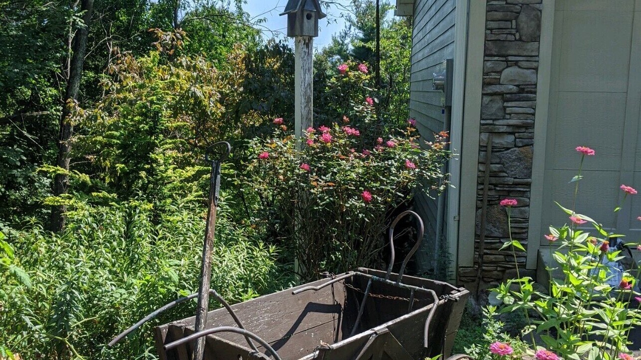 Photo of Outdoor in Haw Creek