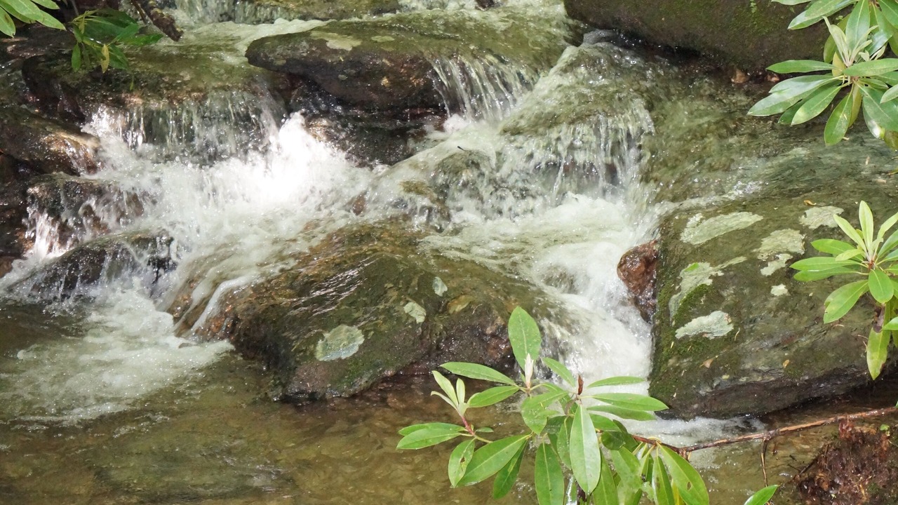 Photo of Others in Boone