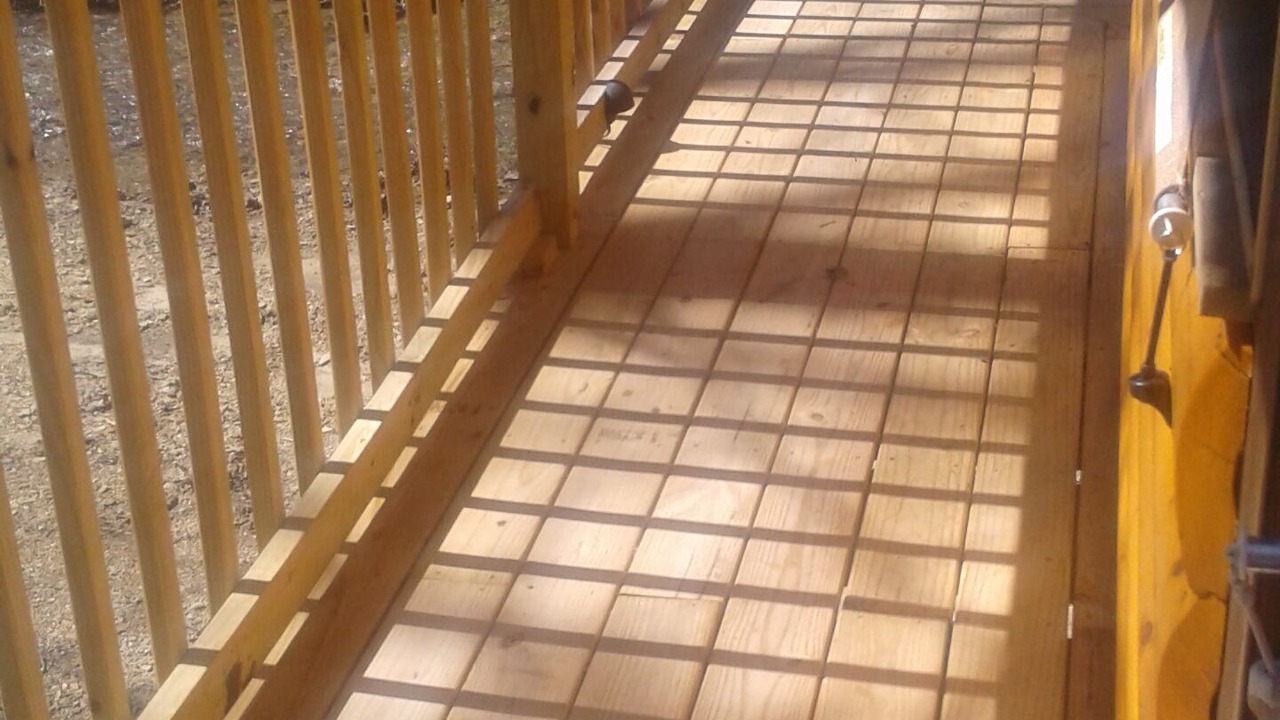 Photo of Outdoor in Frenchburg