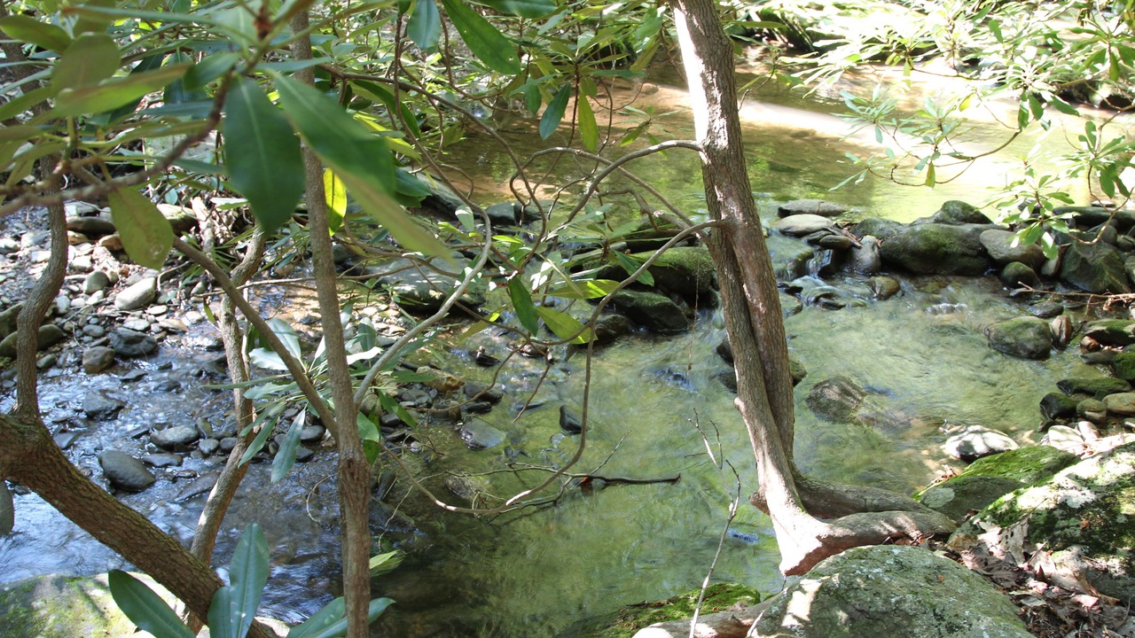 Photo of Outdoor in Black Mountain