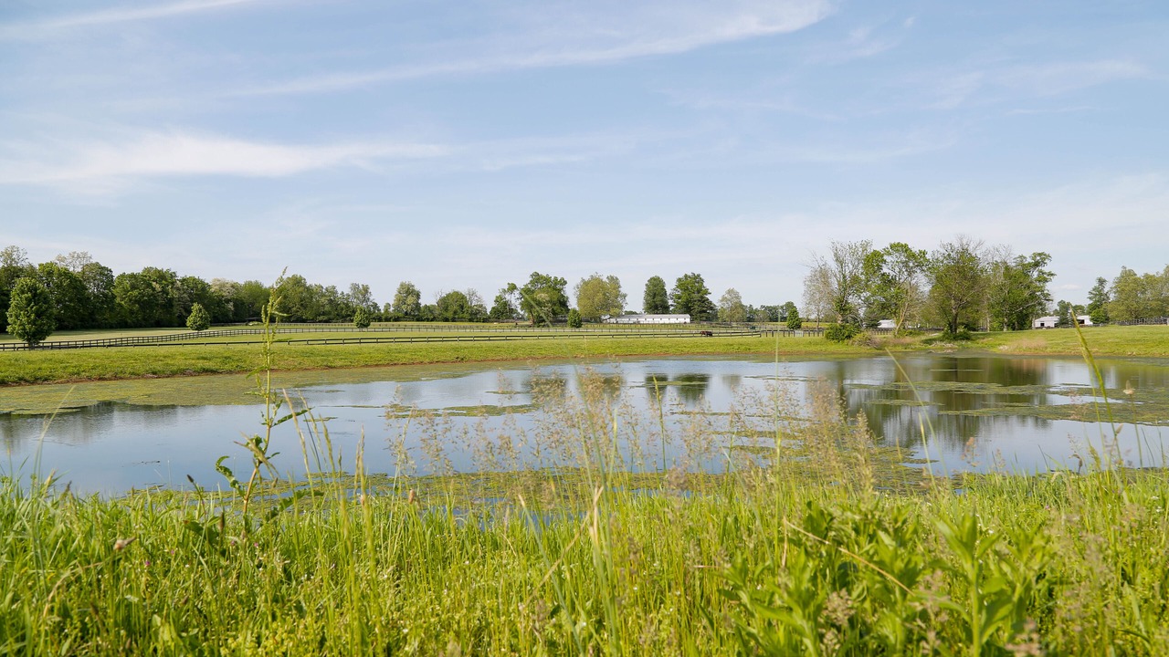 Photo of Outdoor in Lexington