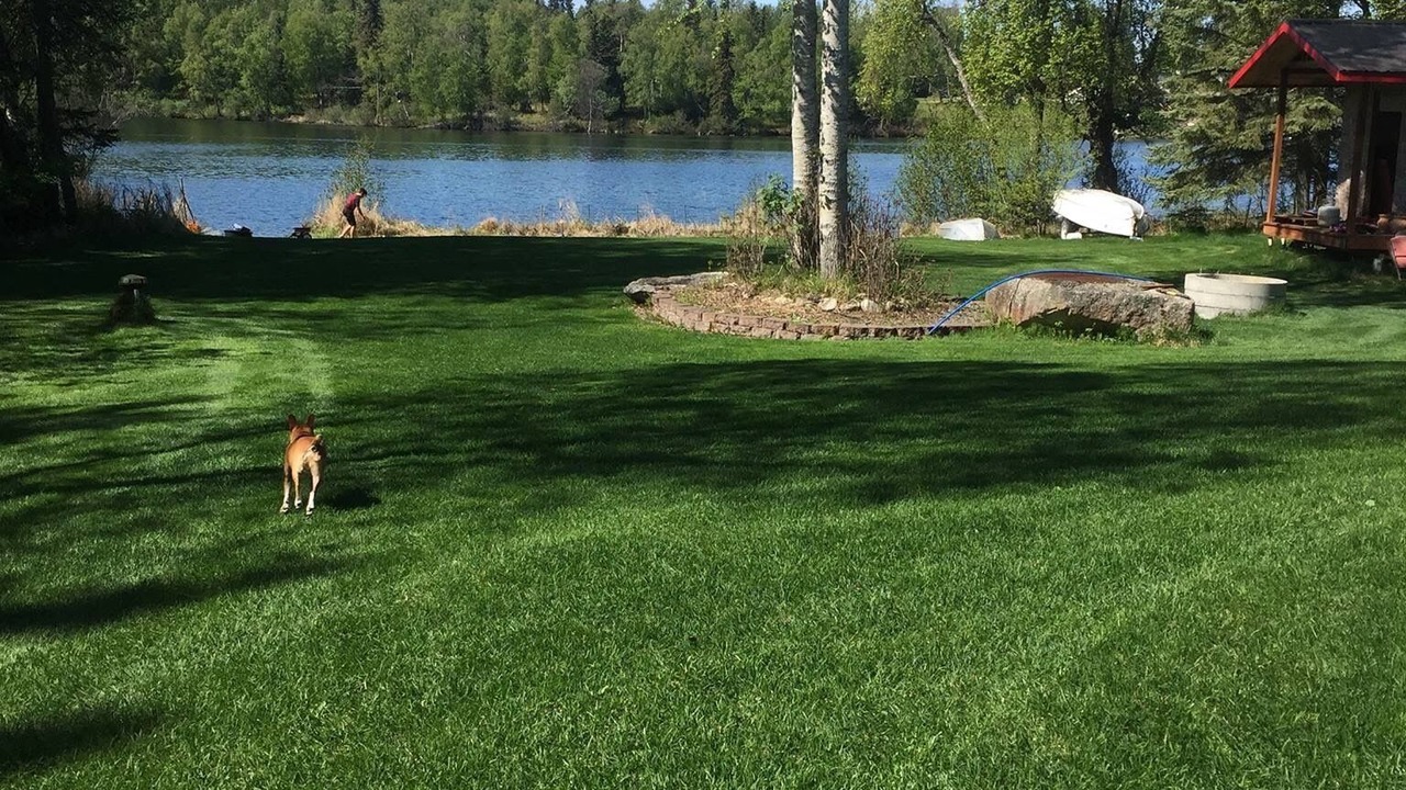 Photo of Outdoor in Nikiski