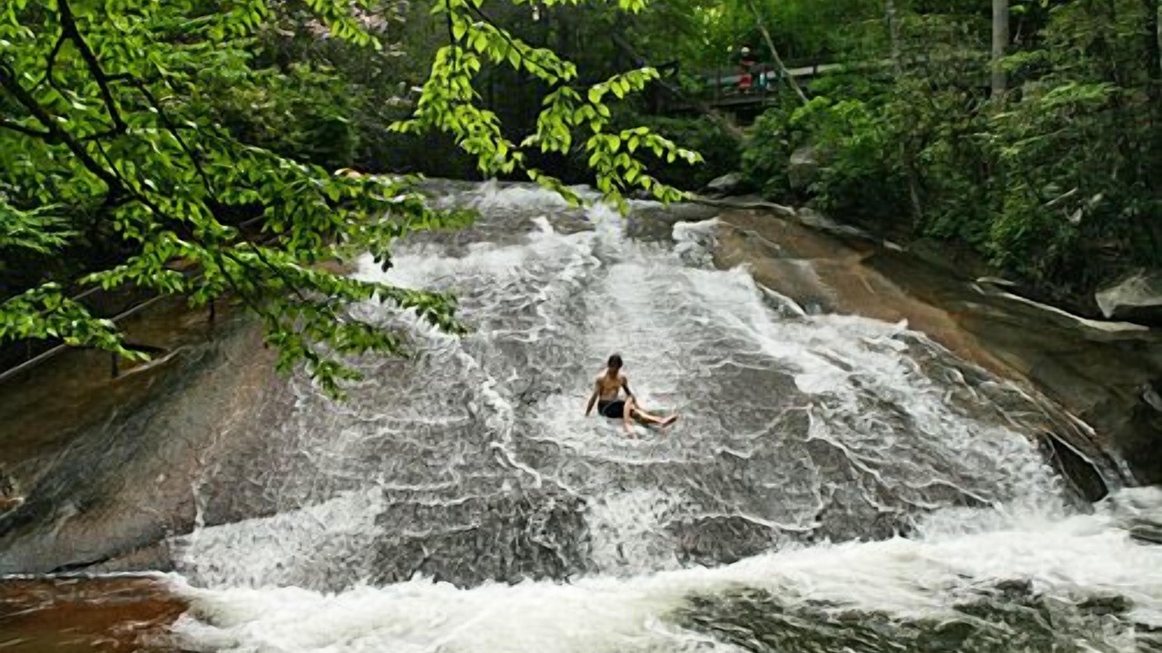 Photo of Others in Brevard