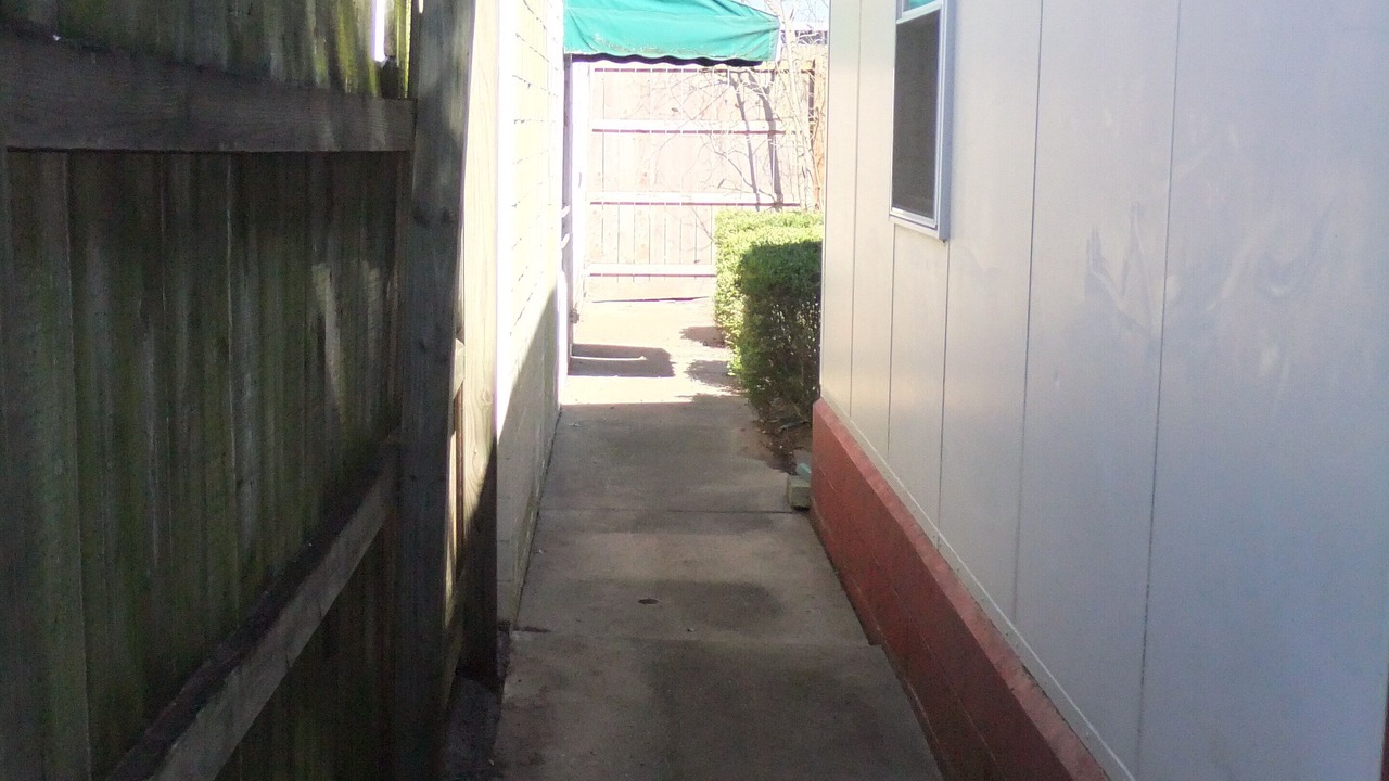 Photo of Outdoor in Lexington