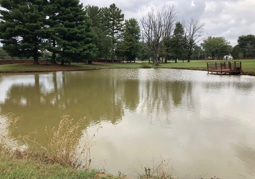 Photo of Outdoor in Hamersville