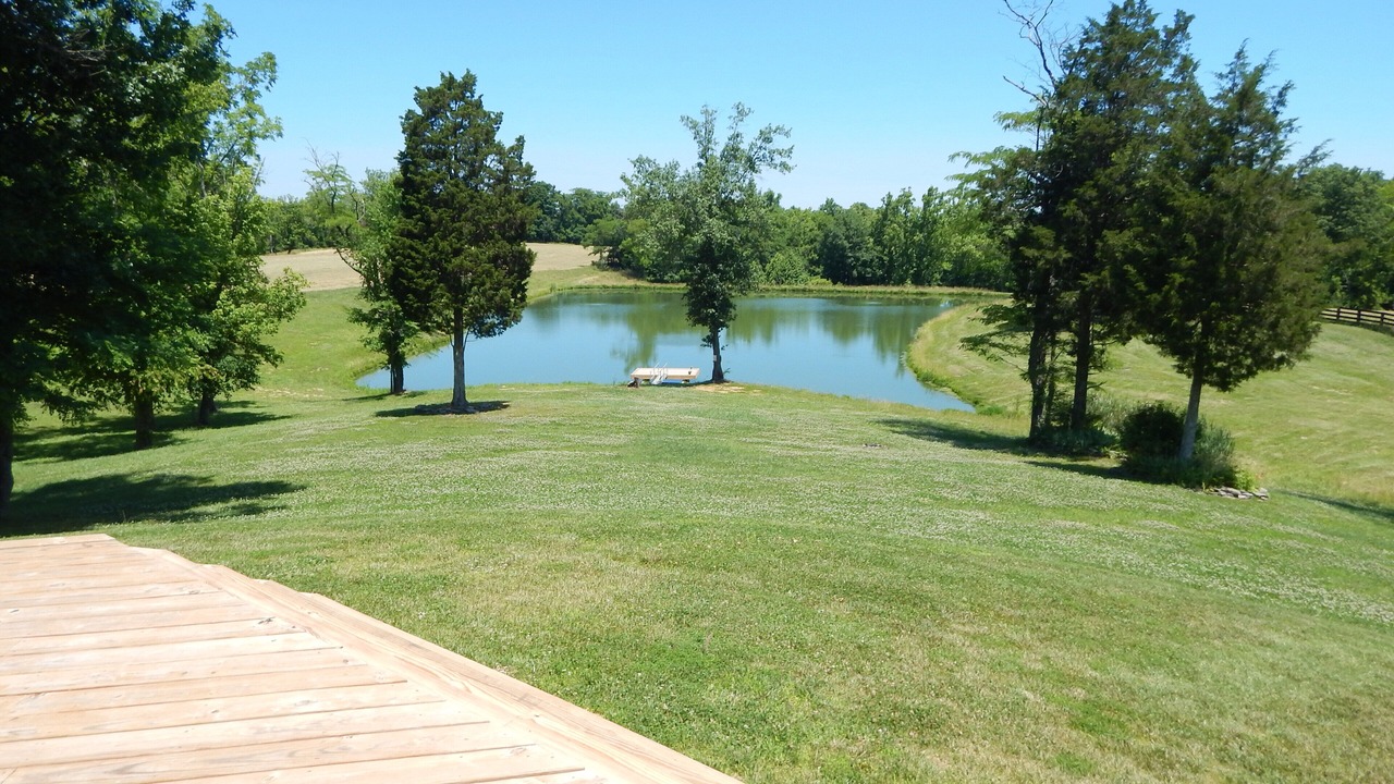 Photo of Outdoor in Port Royal