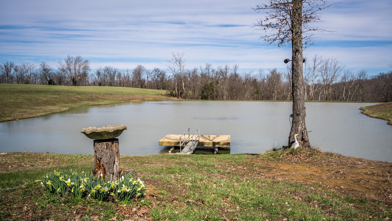Photo of Outdoor in Port Royal