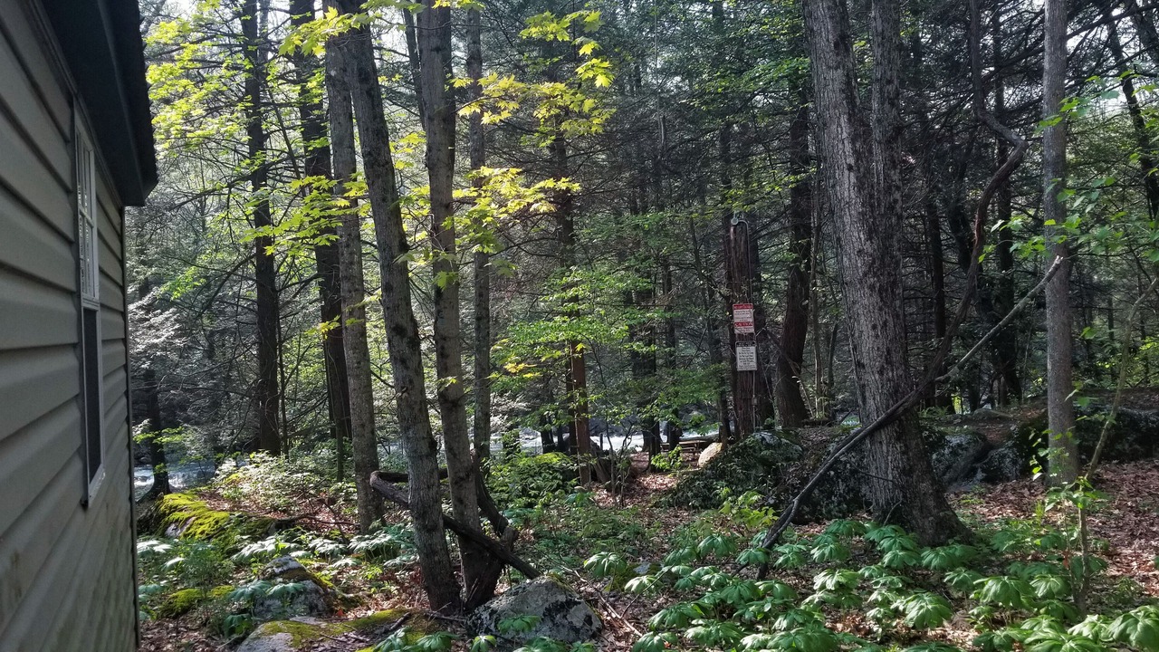 Photo of Outdoor in Elk Garden