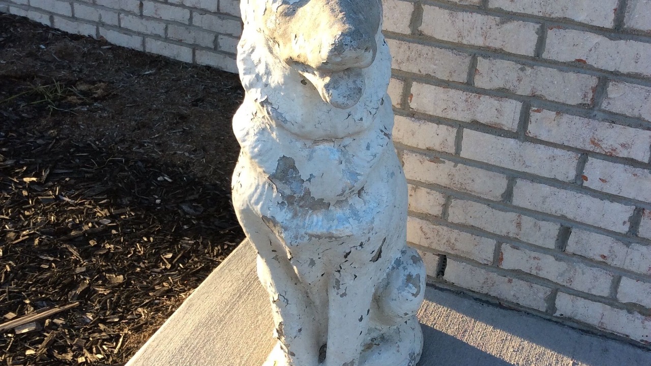 Photo of Outdoor in Downtown