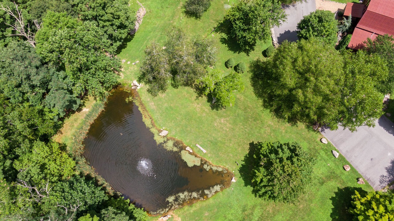 Photo of Outdoor in Elk Park