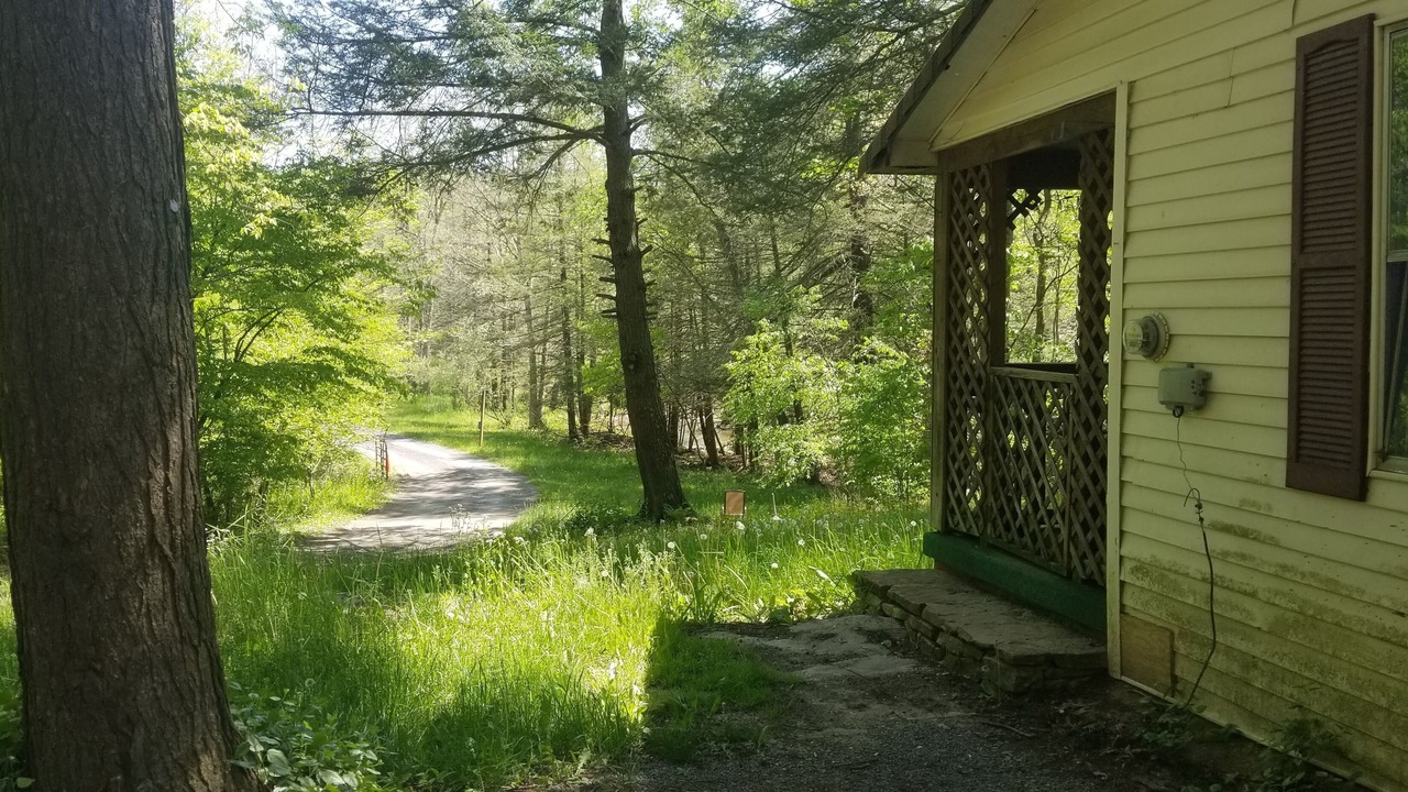 Photo of Outdoor in Elk Garden