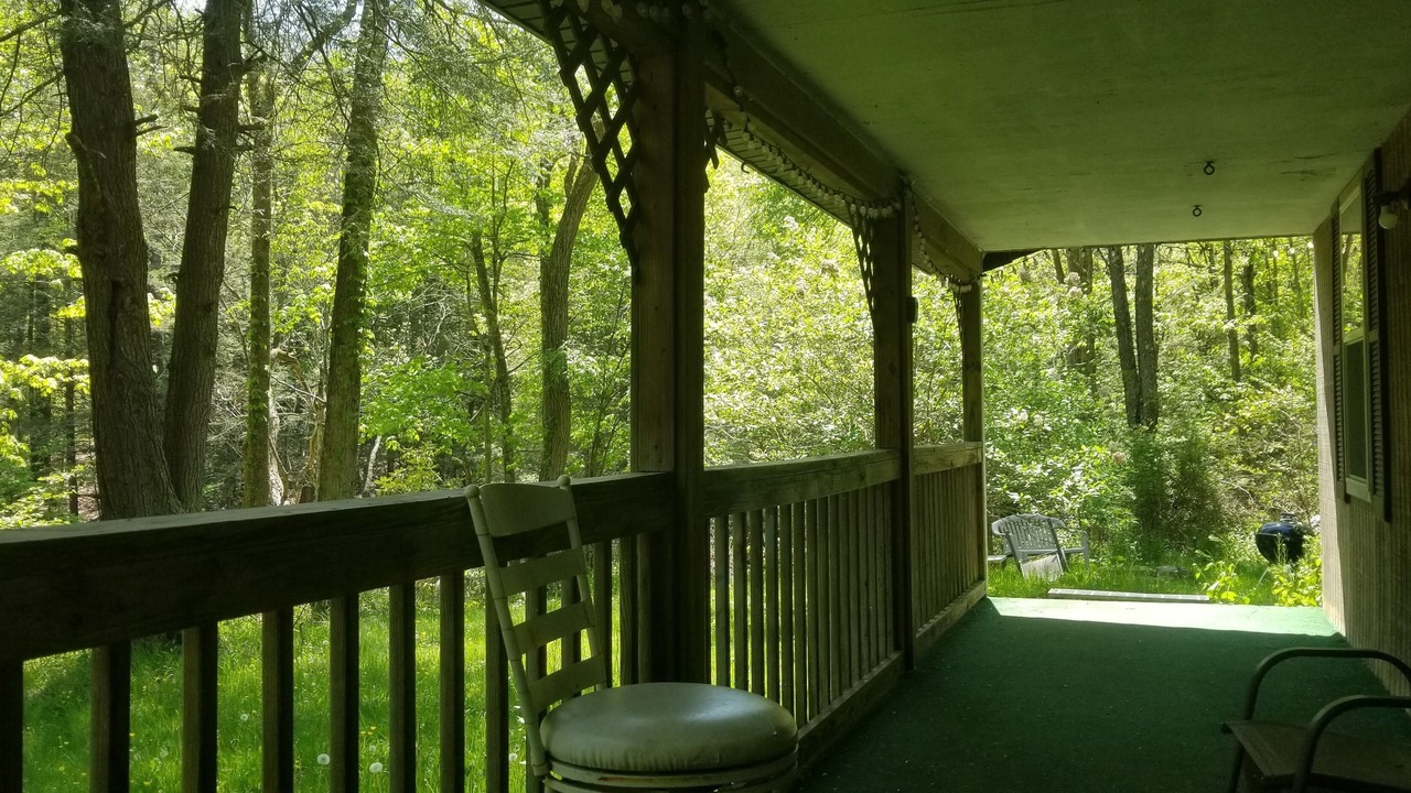 Photo of Outdoor in Elk Garden