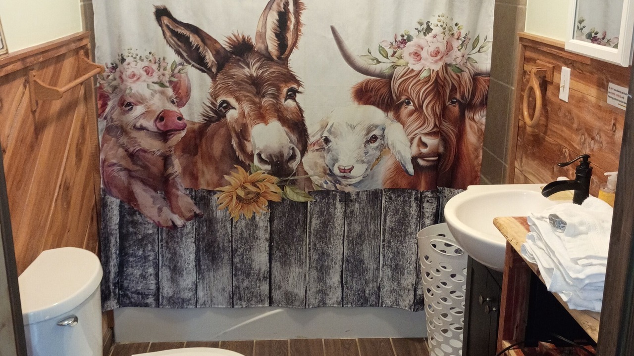 Photo of Bathroom in Frenchburg