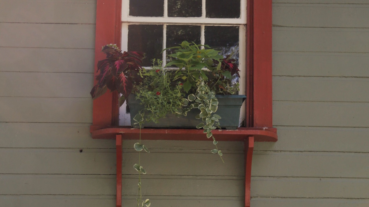 Photo of Outdoor in Owenton