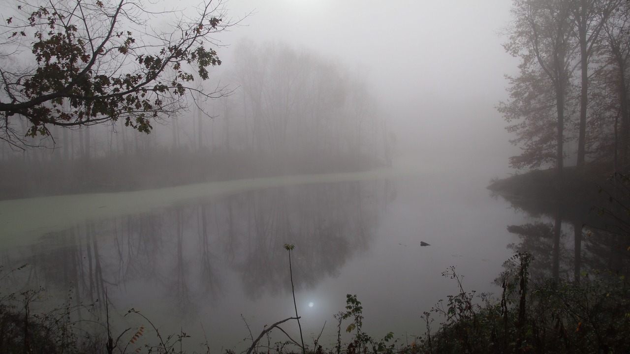 Photo of Outdoor in Owenton